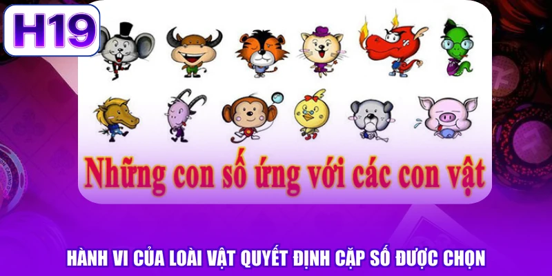 Hành vi của loài vật quyết định cặp số được chọn